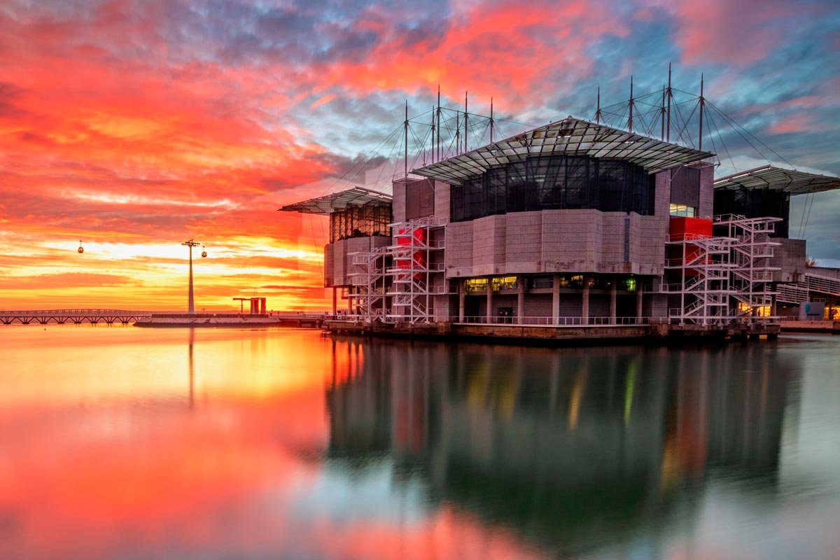 Um-dos-melhores-oceanarios-do-mundo-e-orgulho-de-Portugal-000